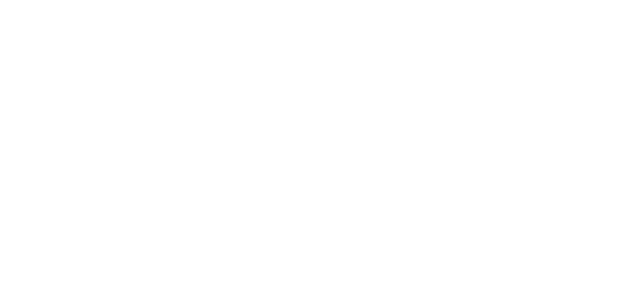 Wheel It Pizza?